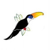 Toucan Capital